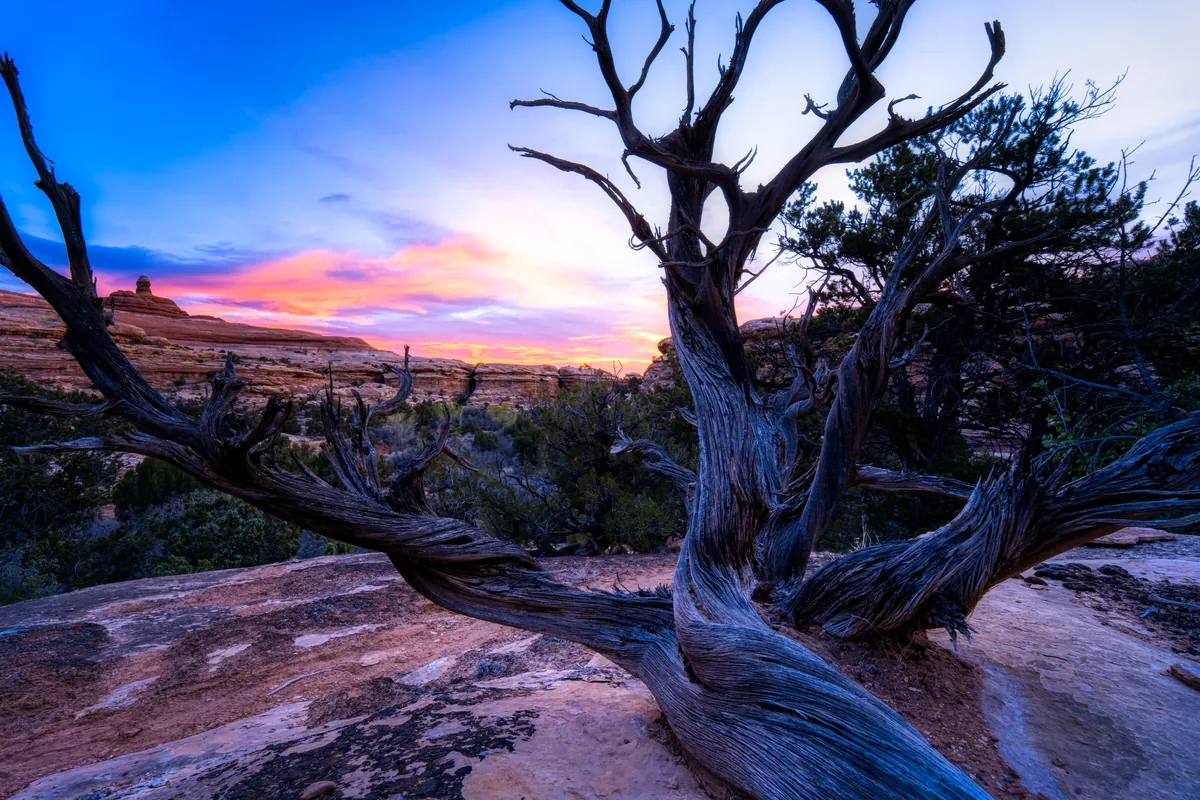 Needles: fine art desert photograph by J Grigg