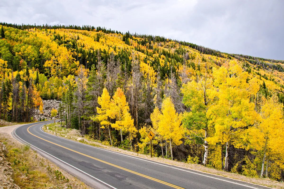 Bear Lake Road: fine art mountains photograph by J Grigg