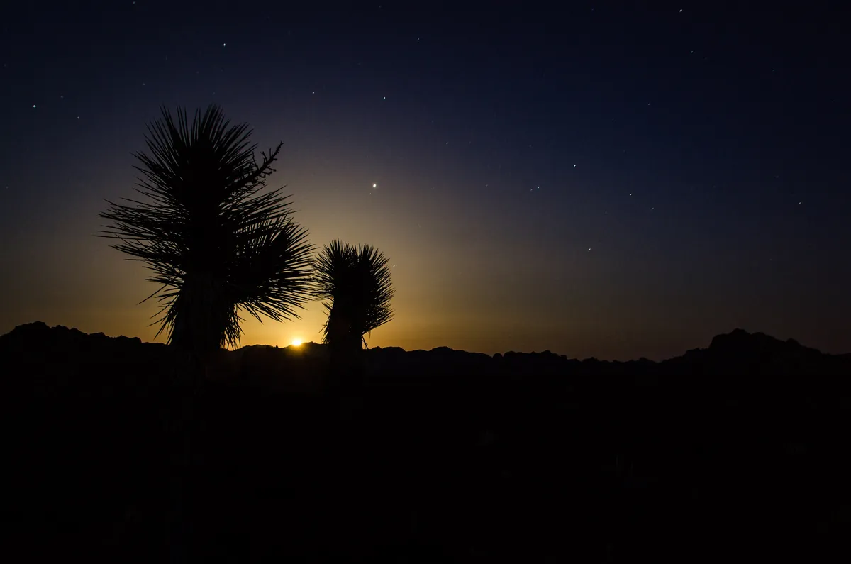Joshua Tree Night: fine art night sky photograph by J Grigg